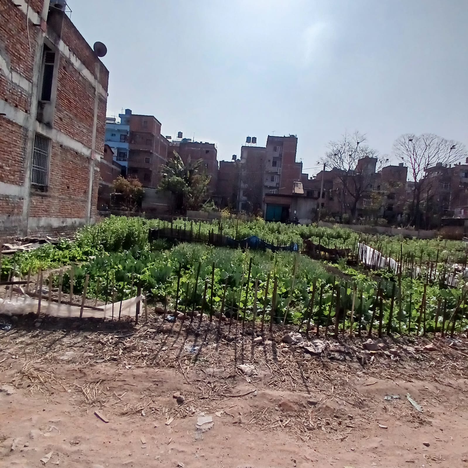 Picture of Mahalaxmi Municipality, Bagmati